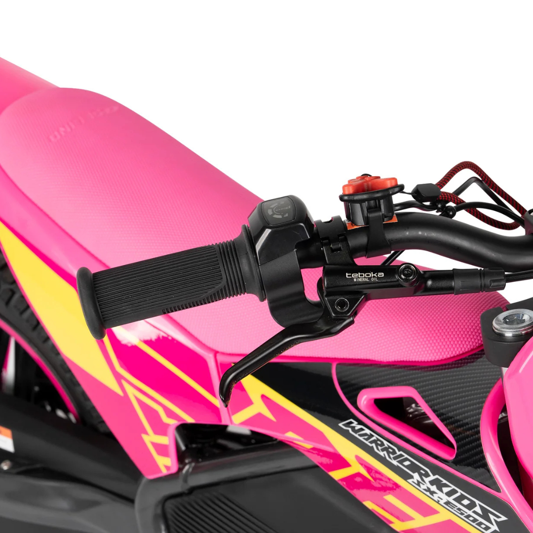 RFN SX E700 Hydraulic Brakes