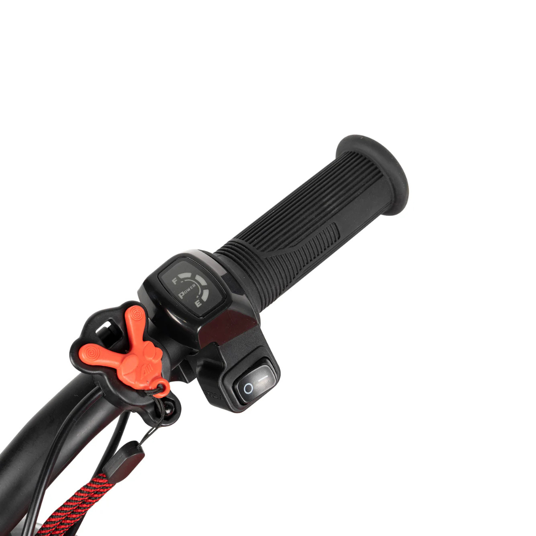 RFN SX E Safety Lanyard